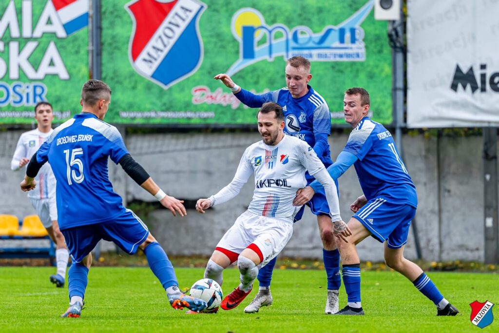 dziki 13