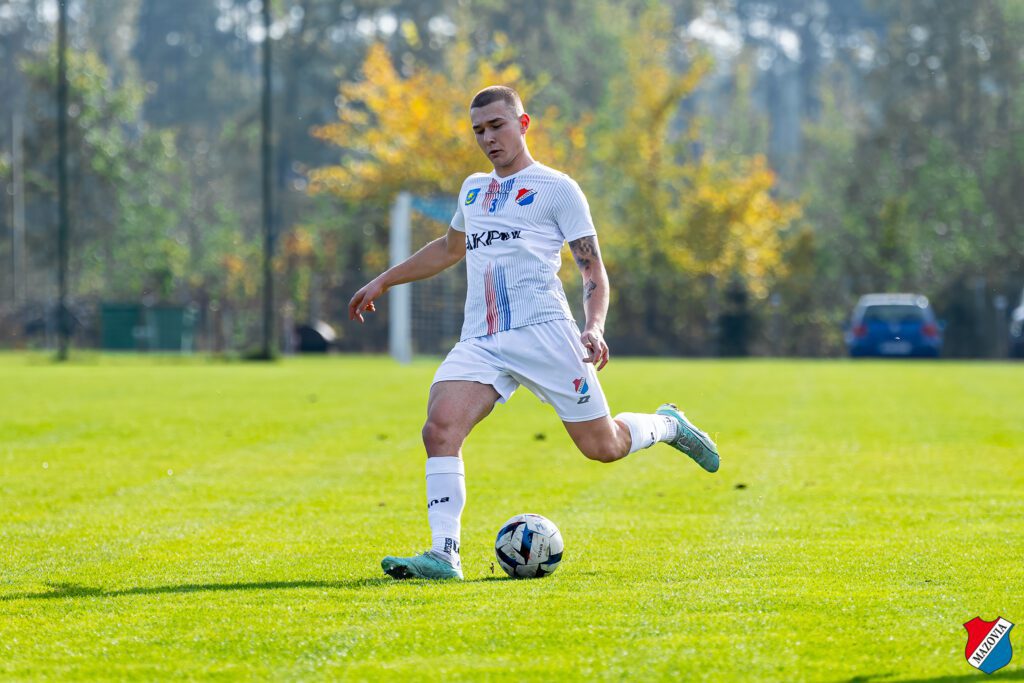 dziki 27