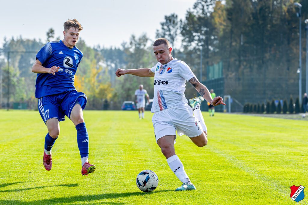 dziki 33