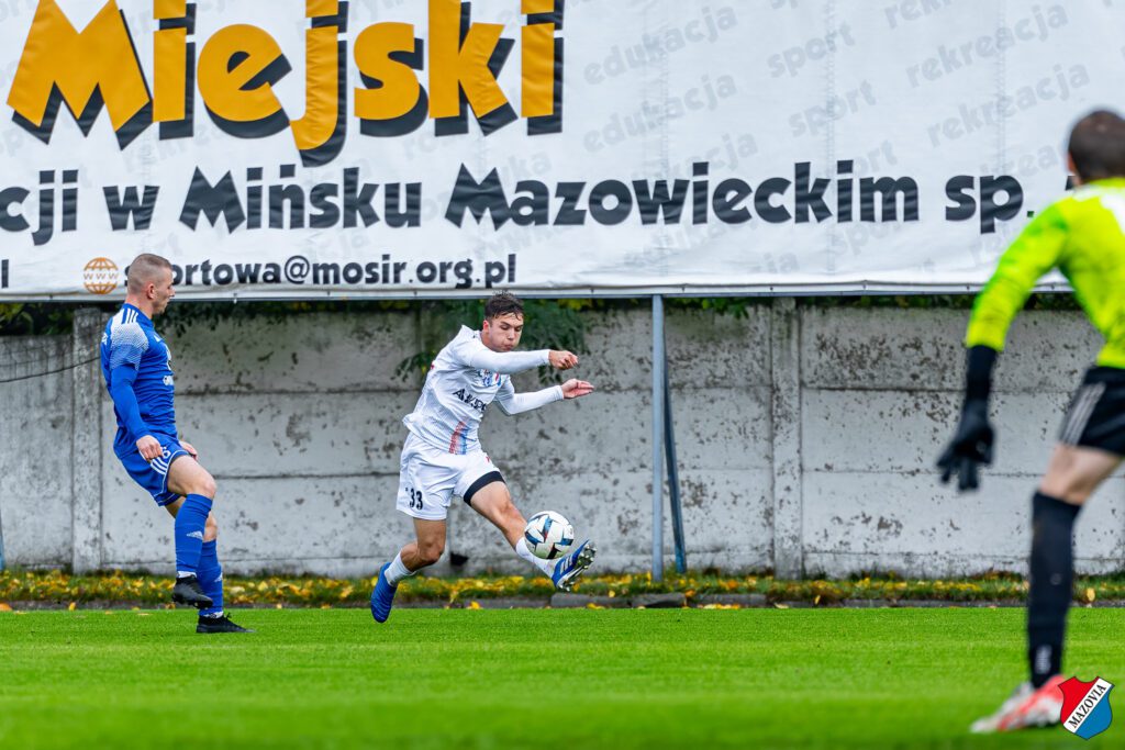 dziki 5