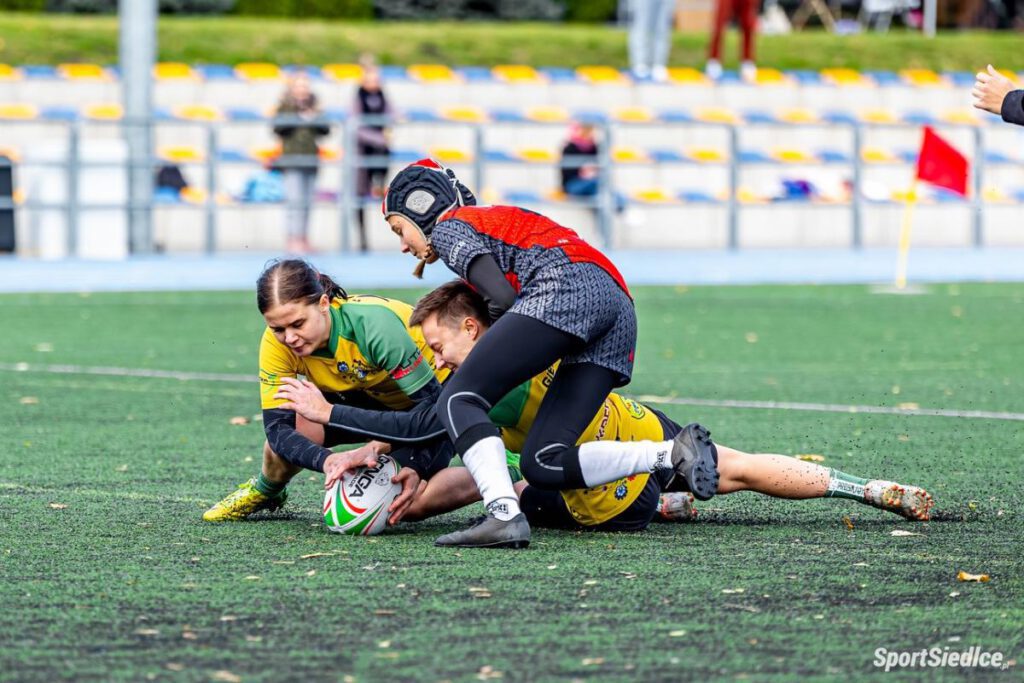 rugby 7