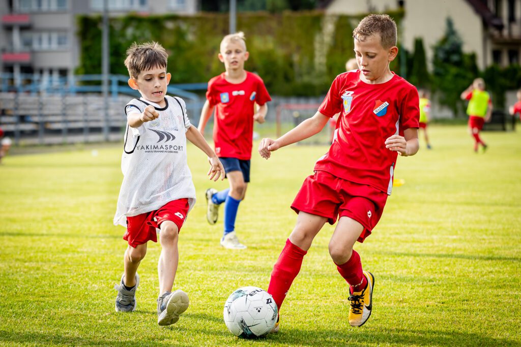 akademia 14