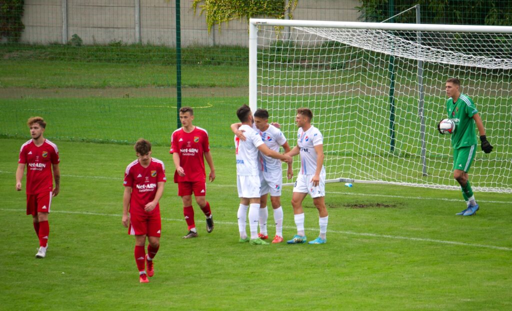 wilga 10