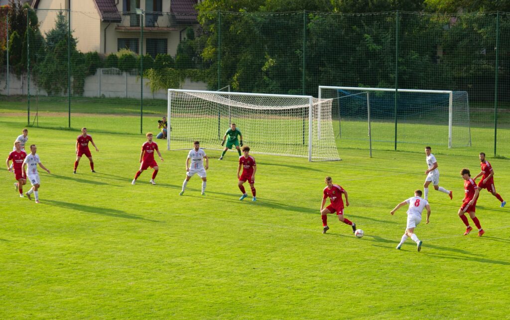 wilga 14