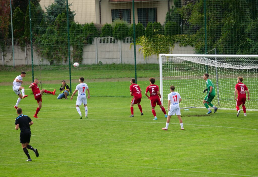 wilga 15