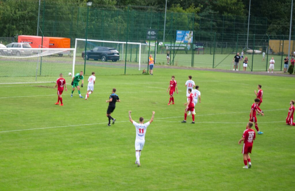 wilga 24