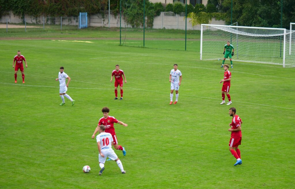 wilga 3