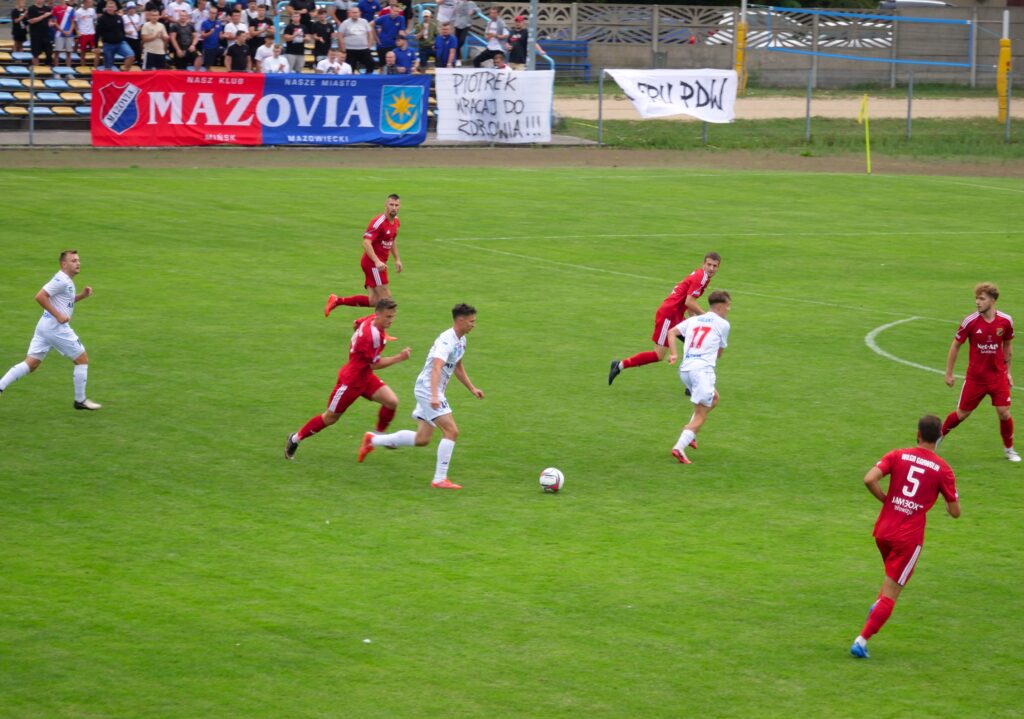 wilga 4