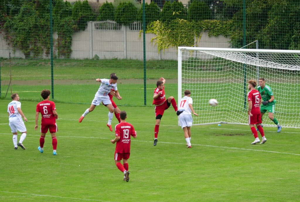 wilga 5
