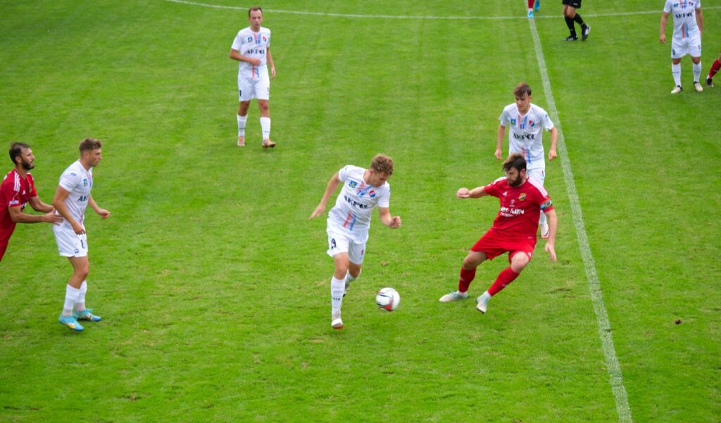 wilga 8
