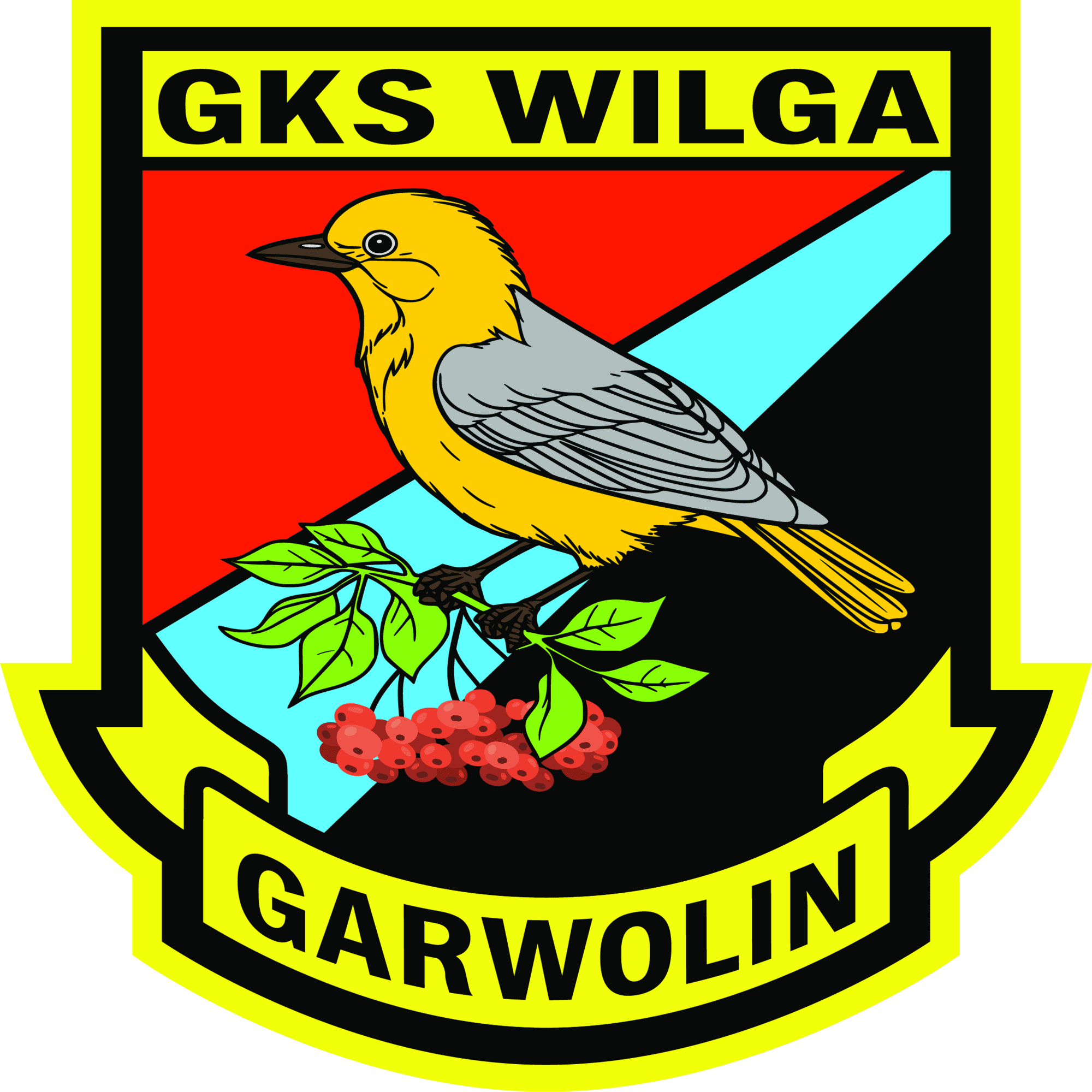 WILGA
