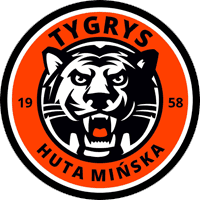 Tygrys